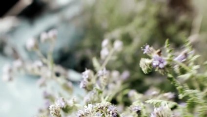 Amnésie - Thriller Intense en Version Française 🌀