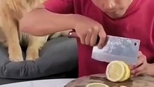 Limón no!