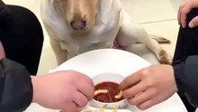 Yo quiero salsa