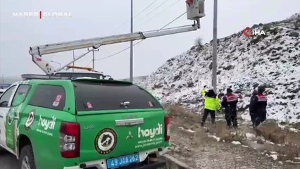 Elektrik tellerine sıkışan puhu kuşu kurtarıldı