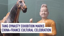 Tang Dynasty Exhibition Marks China-France Cultural Celebration