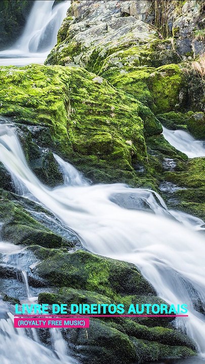 ✅💘Música relaxante com sons da Natureza para dormir- Fragmentos #18