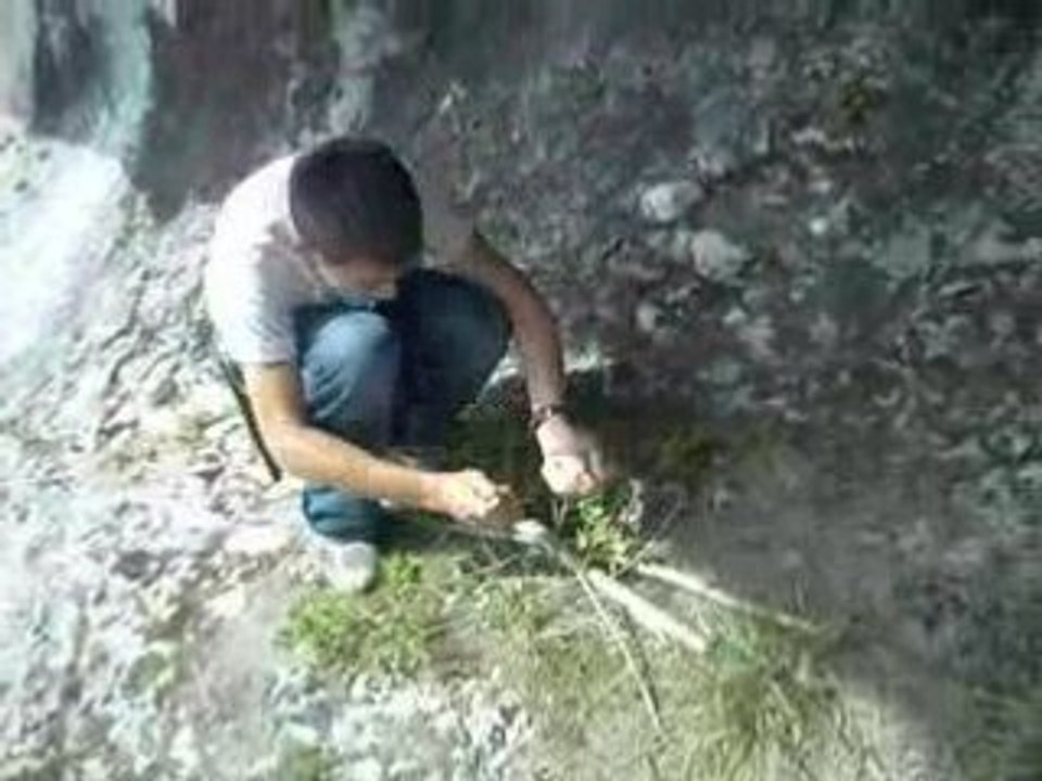 Regis remonte le temps