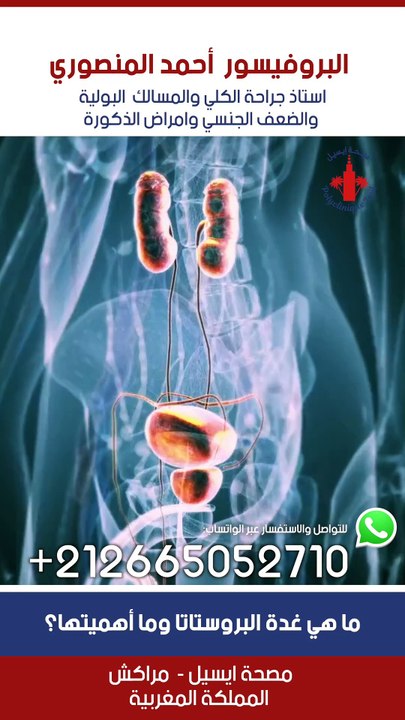 #البروفيسور_احمد_المنصوري #البروستاتا #علاج #morocco #urology #ذكورما هي غدة البروستاتا وما أهميتها؟