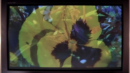 Cypher - 06 - i was once an agent too