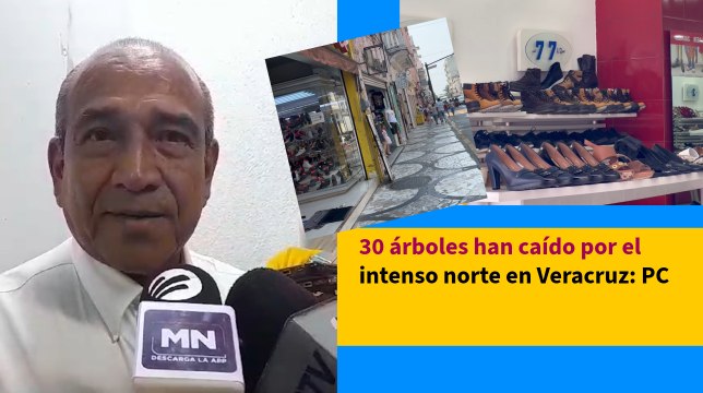 Comerciantes en Veracruz cerrarán el trimestre con 2mmdp en derrama económica: Canaco