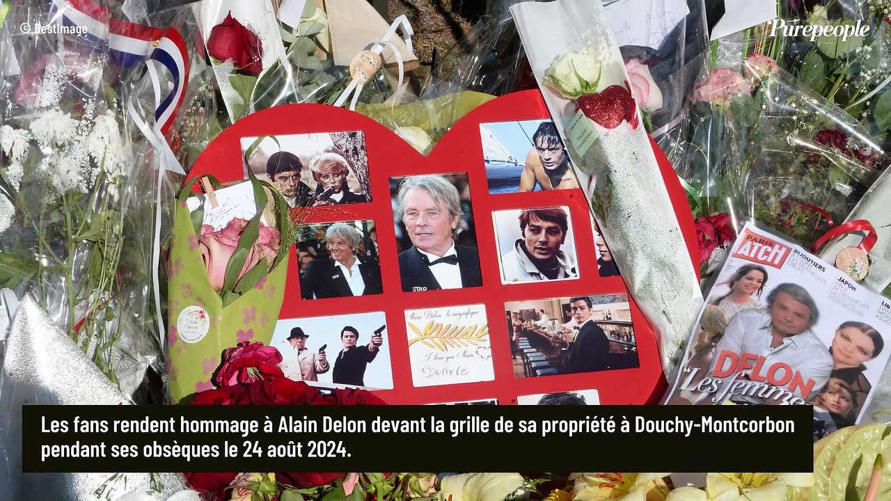 Nicole Calfan raconte la peine de Mireille Darc après sa rupture avec Alain Delon, ce geste fort qu'elle a fait pour la soutenir