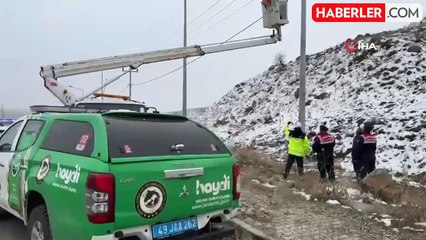 Muş'ta Elektrik Tellerine Sıkışan Puhu Kuşu Kurtarıldı