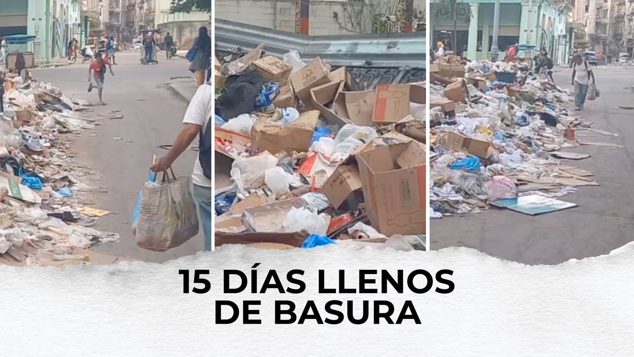 15 días llenos de basura