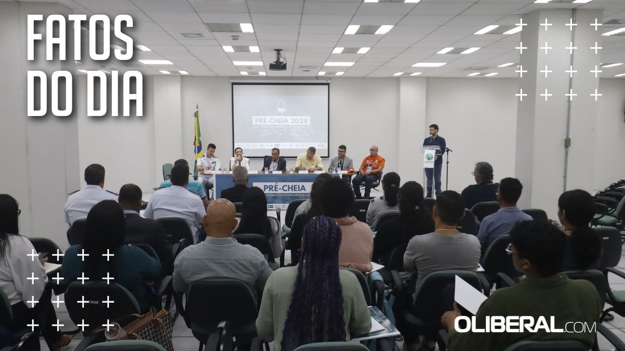 Ferramenta que monitora desastres naturais na região amazônica ganha versão para celular