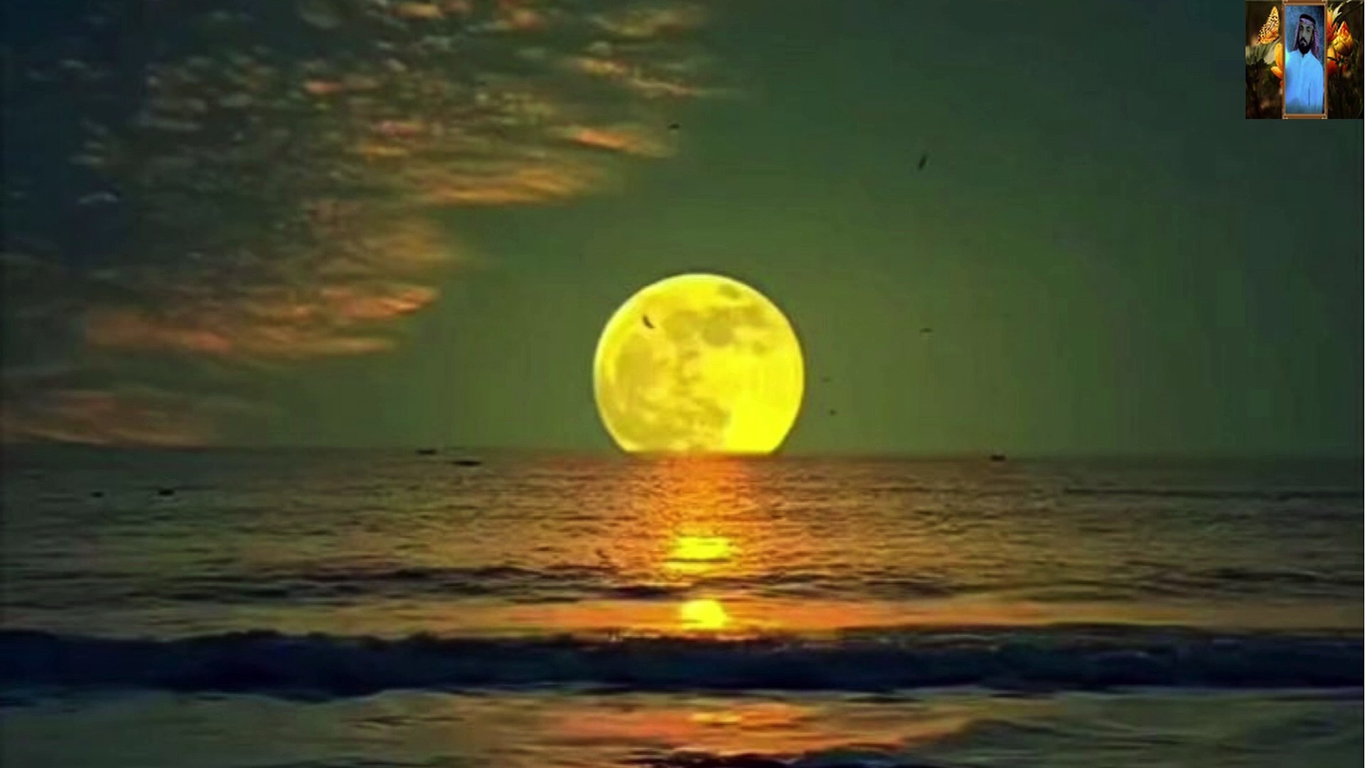 القران الكريم بصوت جميل جدا يبكي قناة علي الفرهود القران الكريم