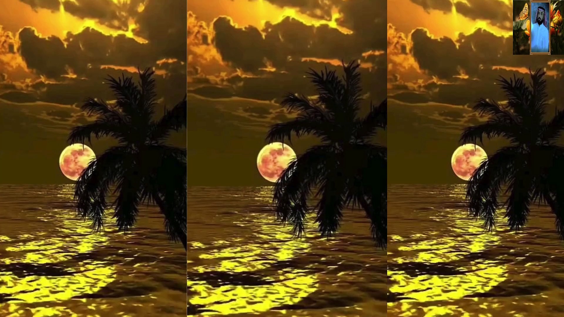 القران الكريم بصوت يبكي الصخرقناة علي الفرهود القران الكريم