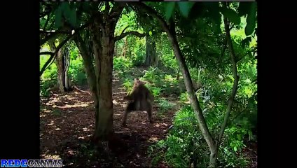 Os Mutantes Capitulo 124 Primeira Temporada Caminhos Do Coração