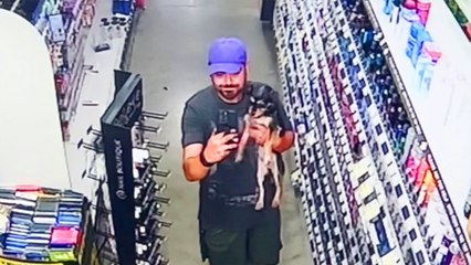 He Found A Little Stray Dog Inside Dollar General