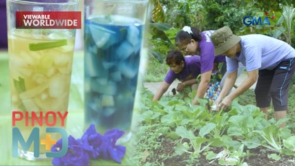 Organic farming, ano-ano ang benepisyo? | Pinoy MD