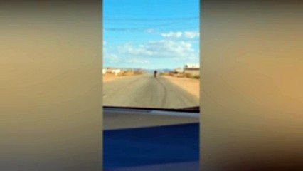 Motociclista é flagrado arrastando cachorro com uma corda em rodovia do Sertão da Paraíba