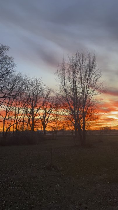 #sunset