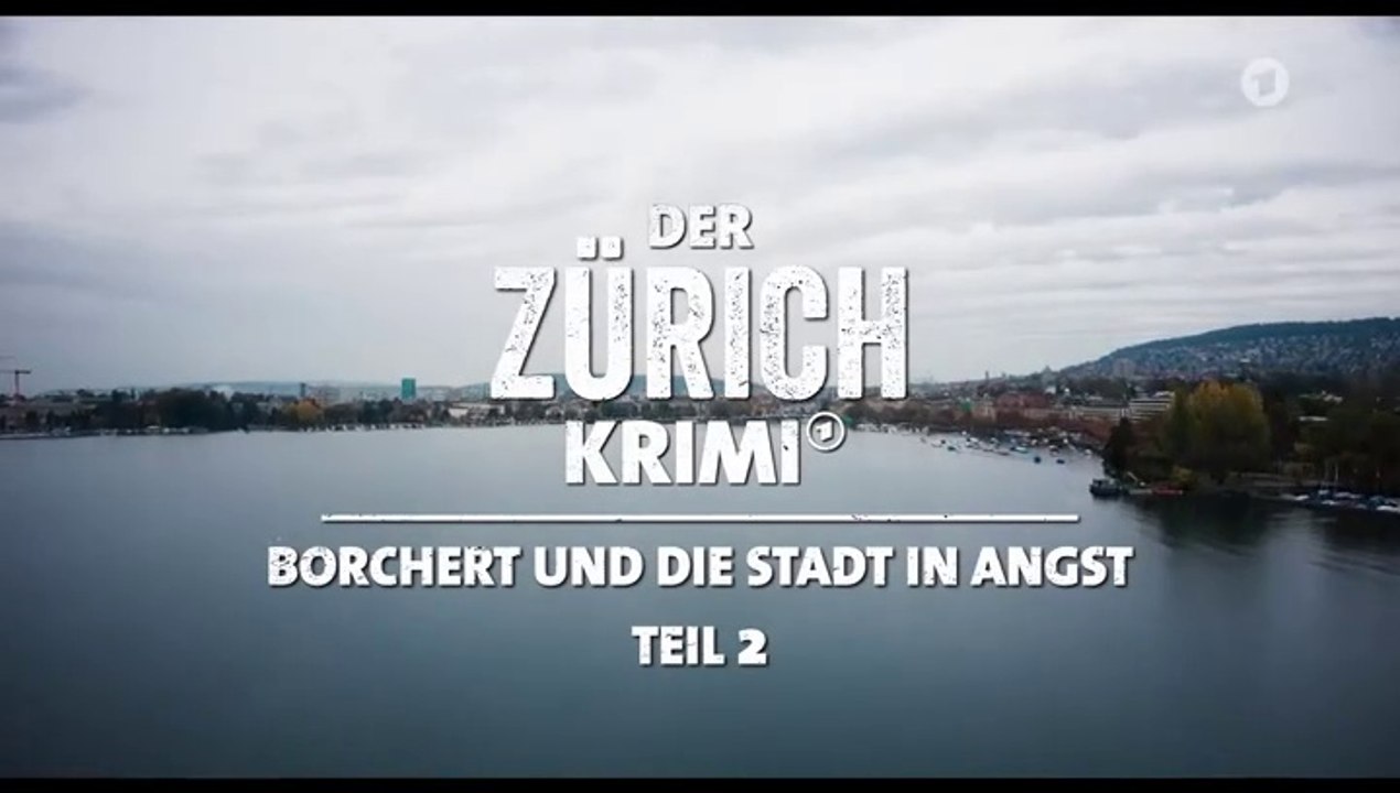 Der Zürich-Krimi -21- Borchert und die Stadt in Angst 2