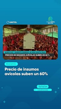 Precio de insumos avícolas suben un 60%