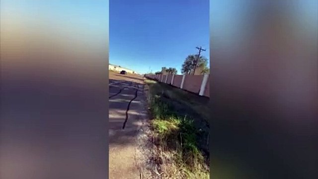 Una avioneta tuvo que aterrizar de emergencia, se estrelló contra una autopista y dejó varios heridos