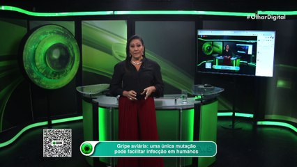 Gripe aviária: uma única mutação pode facilitar infecção em humanos