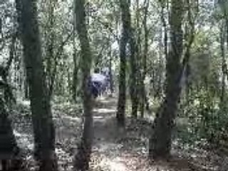 VTT Descente en slalom