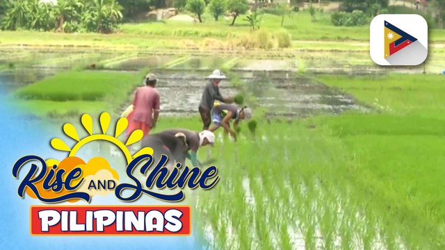 Higit P80-M na agrarian debt ng mga magsasaka sa Cordillera, nabayaran na sa tulong ng DAR