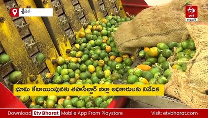 మడకశిరలో వక్క పరిశ్రమ ఏర్పాటుకు కూటమి ప్రభుత్వం అడ