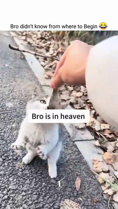 Bro is in heaven RDS