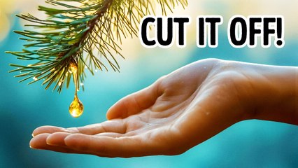 Little-Known Christmas Facts to Get You in the Holiday Spirit