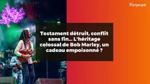 Testament détruit, conflit sans fin… L'héritage colossal de Bob Marley, un cadeau empoisonné ?