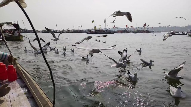 Triveni Sangam, Prayagraj, Uttar Pradesh, India #Vlog