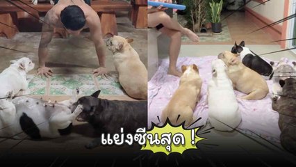 เอ๊ะทำอะไรกันอะ มันจะมีเพลินอยู่ 2 ตัว !