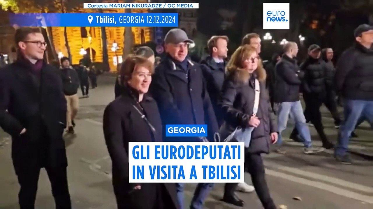 La delegazione del Parlamento europeo visita la Georgia e marcia con i manifestanti pro-Ue