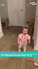 Terrified Pup's Hilarious Escape From an Adorable Baby!