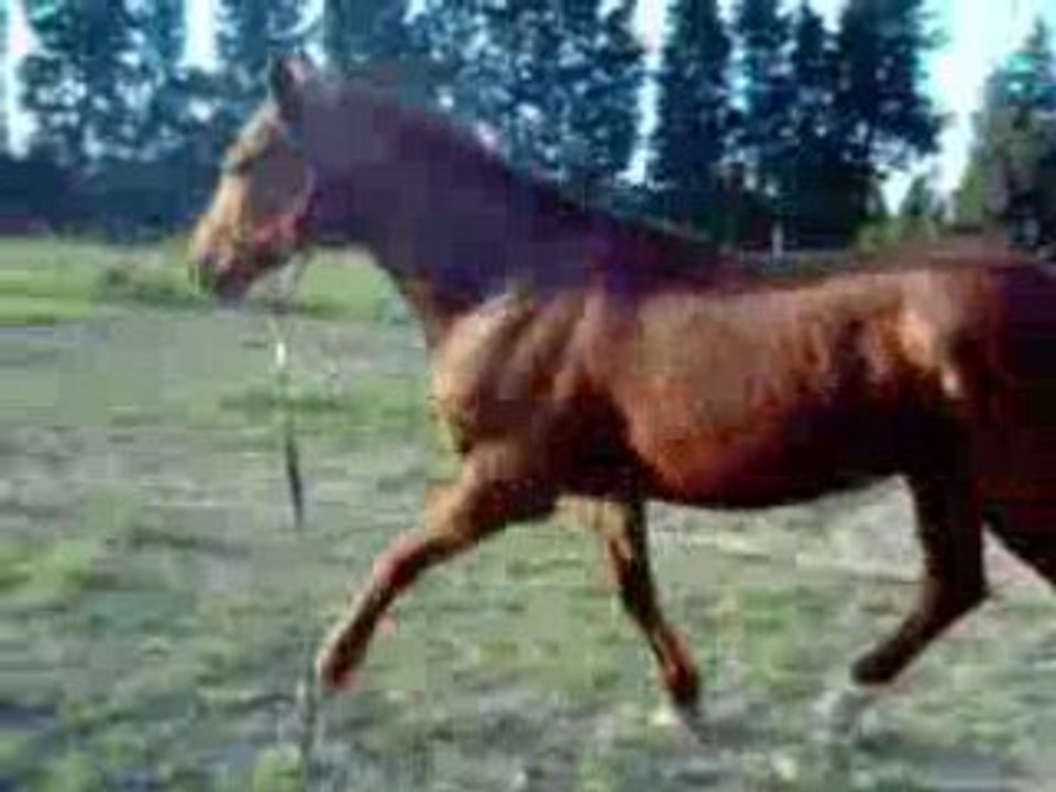 Titou3