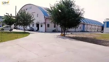 Gustora's Pro Tips for Pasta Perfection