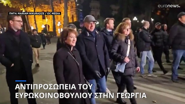 Αντιπροσωπεία του Ευρωπαϊκού Κοινοβουλίου στην Γεωργία