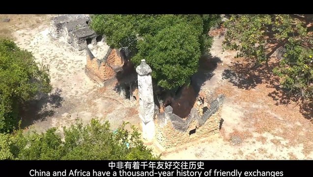 Chinese Porcelain Traveling Miles on the “Belt and Road” as a Messenger of Peace