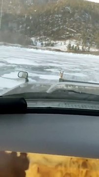 Ils sauvent une biche piégée sur un lac gelé