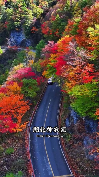 If China's Fall Scenery Had Segments