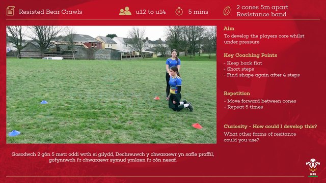 07 Resisted Bear Crawls