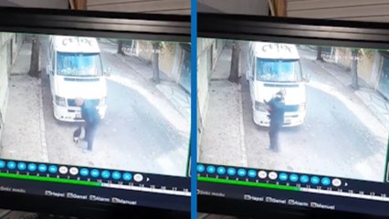 Onu her gün bekleyen kedi ile minibüs şoförünün dostluğu: “Güne bir sıfır önde başlıyorum”