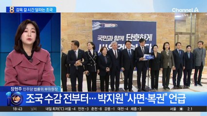 조국 수감 전부터…박지원 “사면·복권” 언급