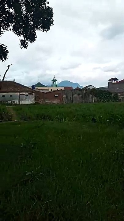 The wind in the afternoon