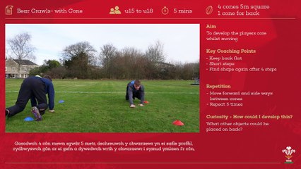 05 Bear Crawls- with Cone