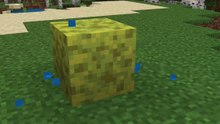 Sponge in Minecraft