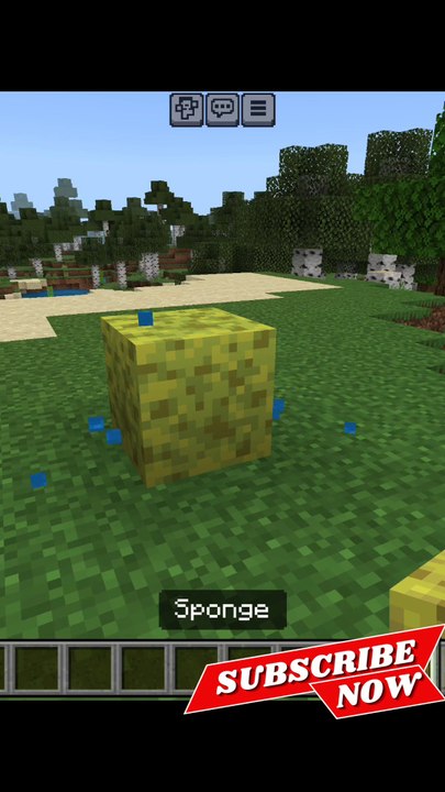 Sponge in Minecraft