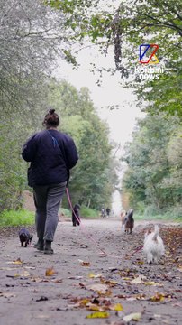Son métier ? Promeneuse de chiens, un job pas comme les autres 🐾 | Good Job