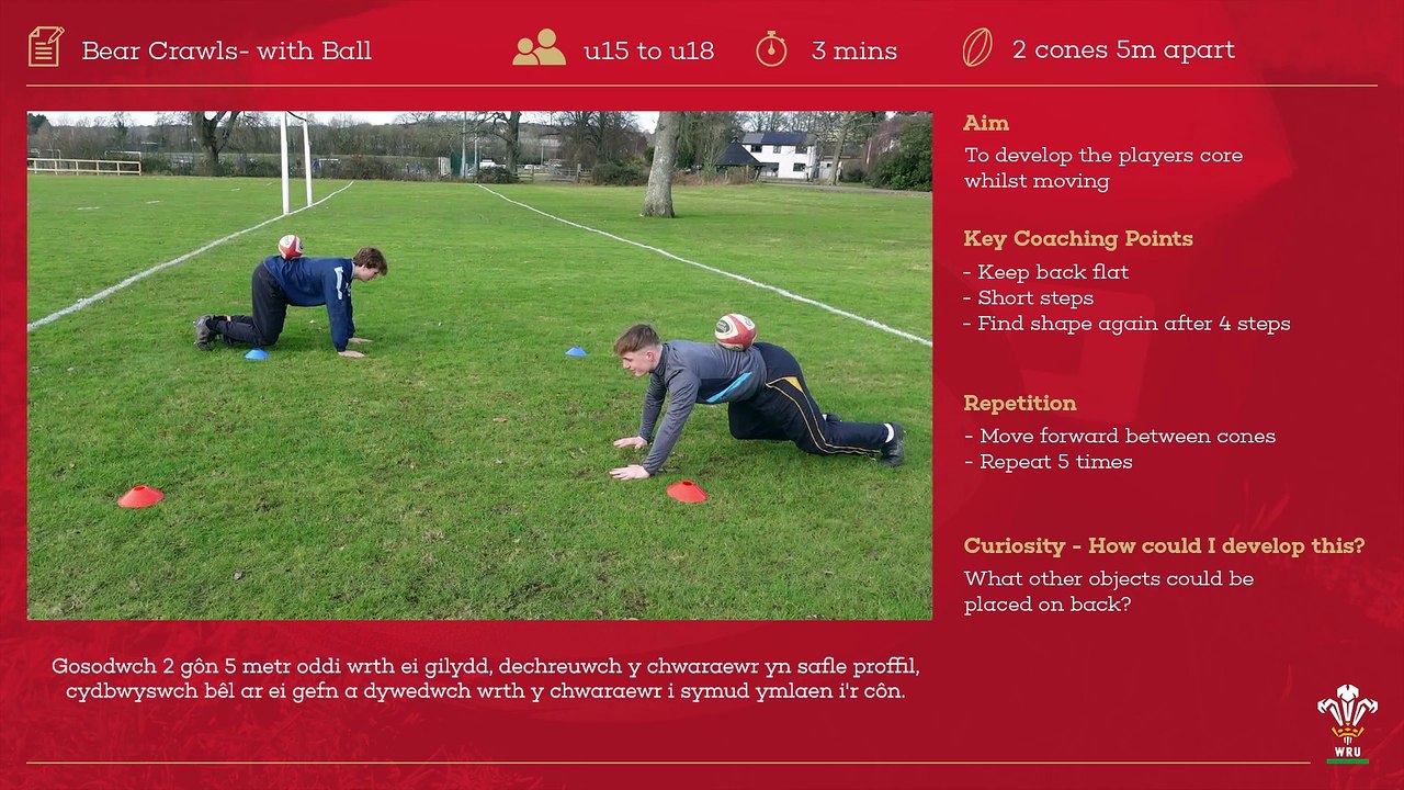 06 Bear Crawls- with bal